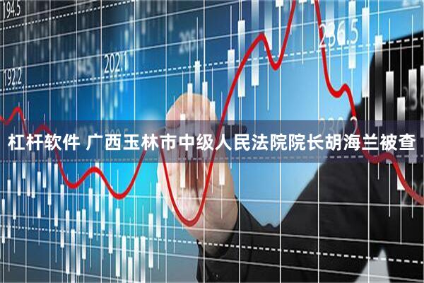 杠杆软件 广西玉林市中级人民法院院长胡海兰被查