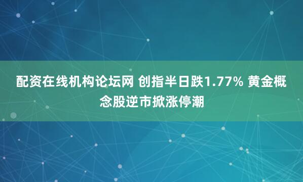配资在线机构论坛网 创指半日跌1.77% 黄金概念股逆市掀涨停潮