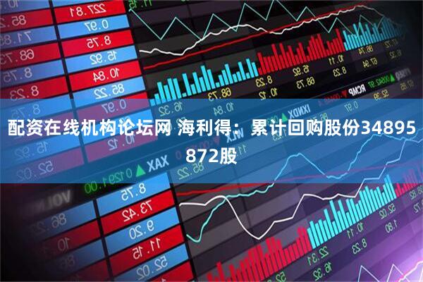 配资在线机构论坛网 海利得：累计回购股份34895872股