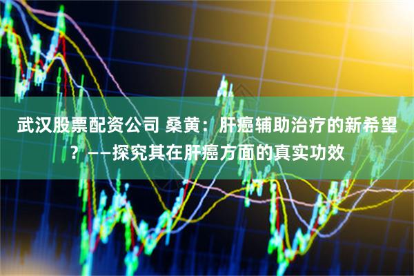 武汉股票配资公司 桑黄：肝癌辅助治疗的新希望？——探究其在肝癌方面的真实功效