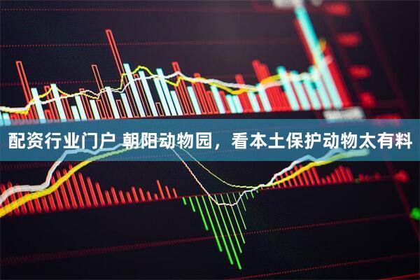 配资行业门户 朝阳动物园，看本土保护动物太有料